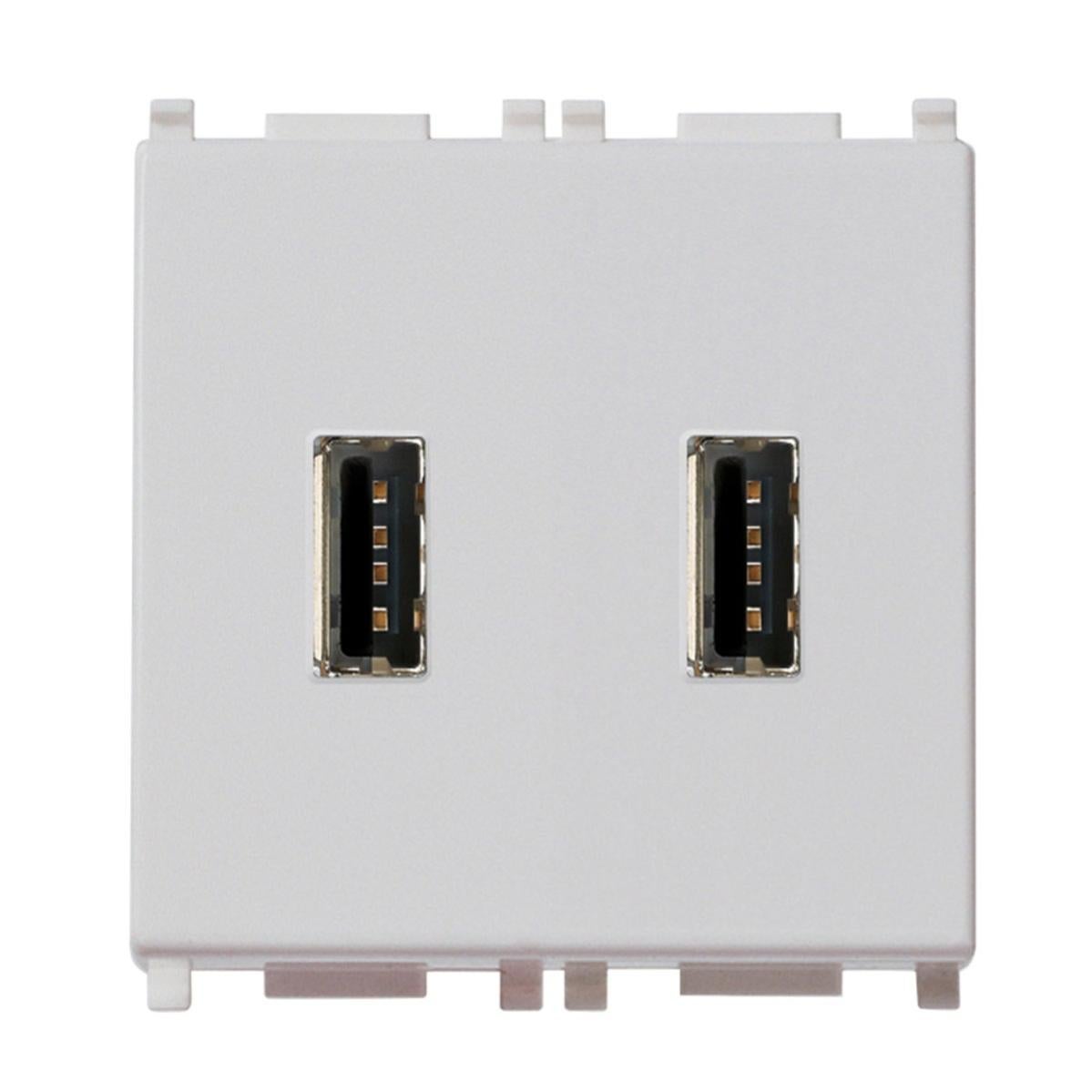 Riteav – 15 amp presa di alimentazione 2 porte HDMI decora