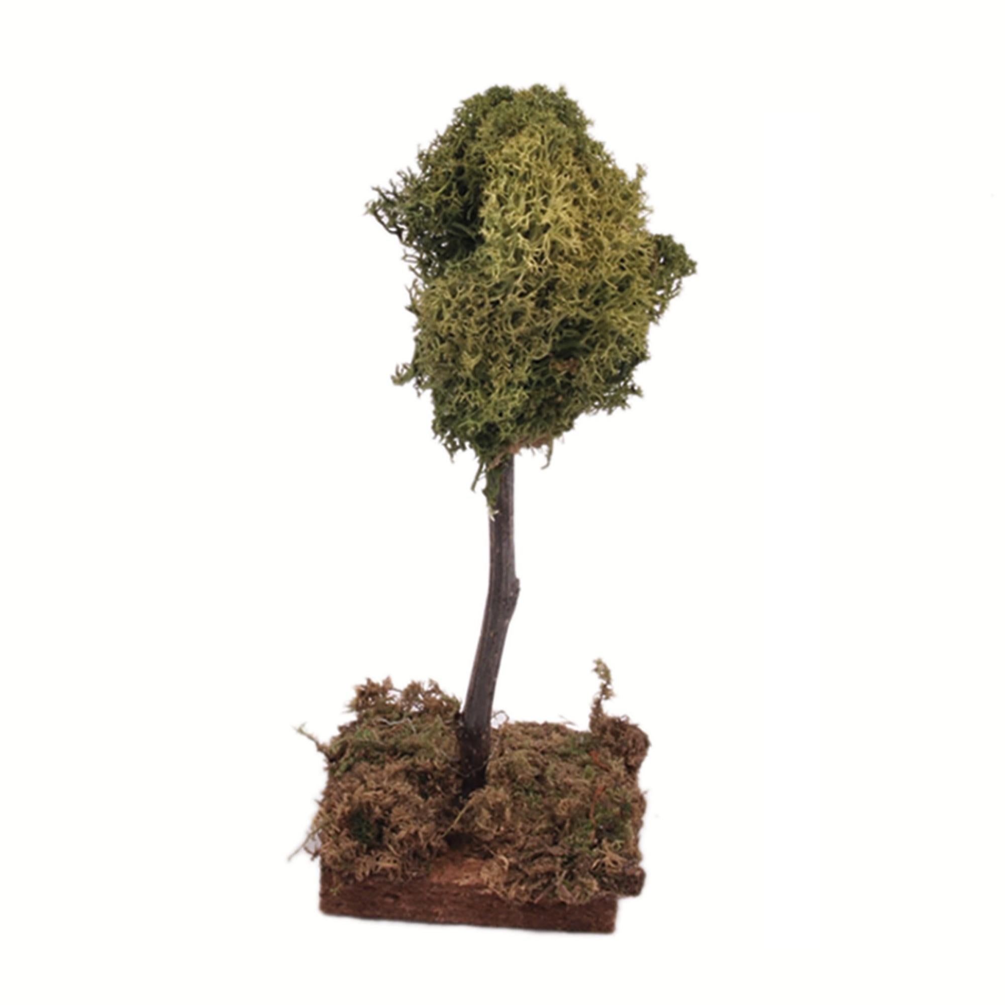 Albero di lichene per presepe 15 cm - 20500522