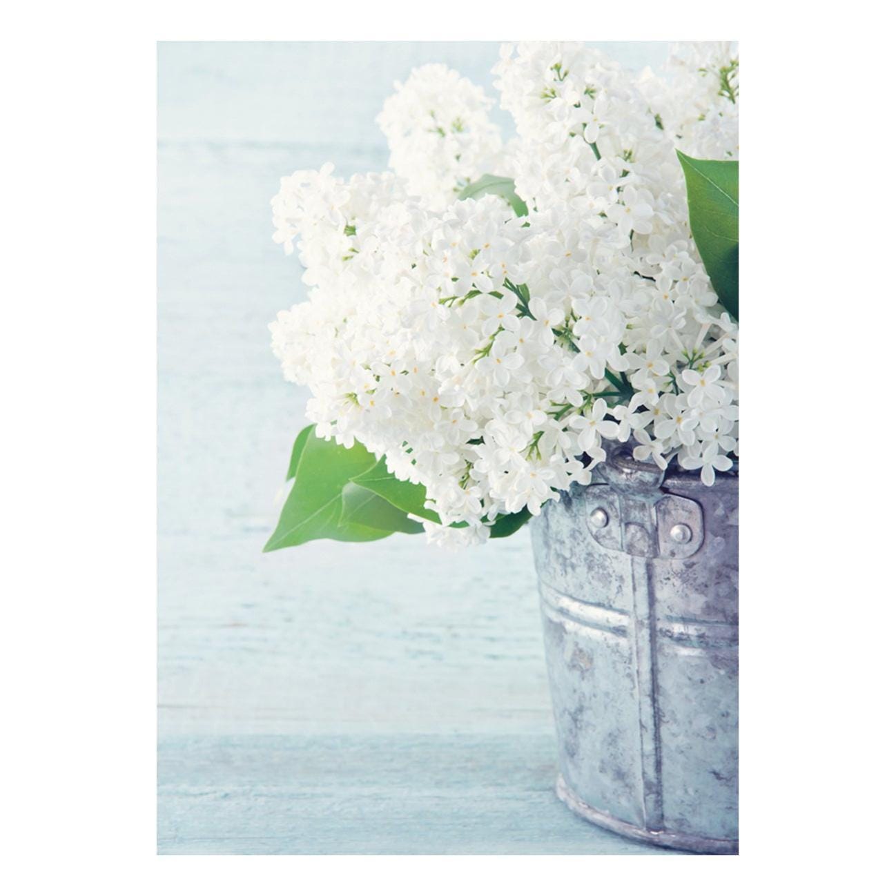 Stampa su tela White flowers 50x70 cm