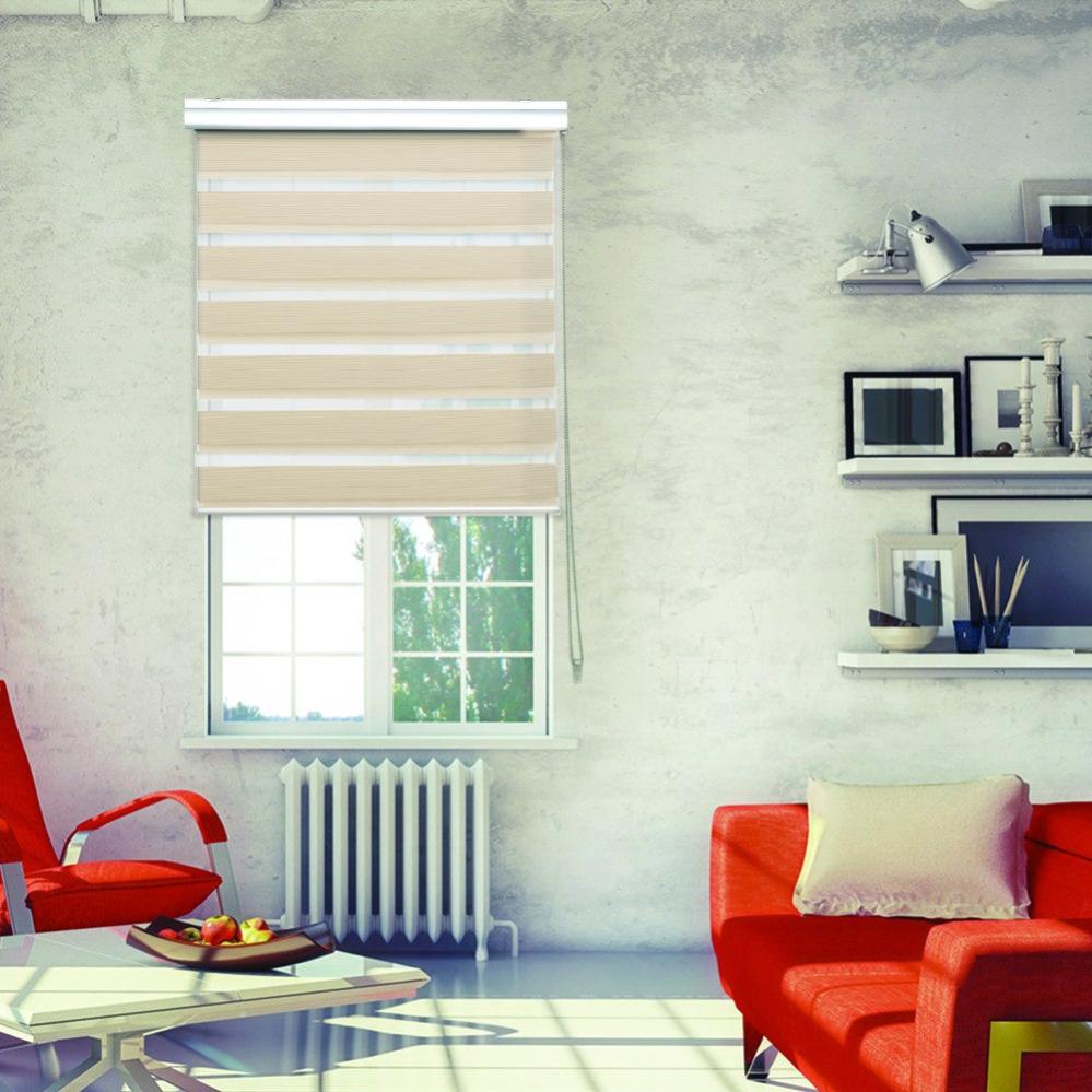 Tenda A Rullo Night And Day Doppio Tessuto – Bande Trasparenti E Oscuranti, Regola Luce E Privacy, 60x252 Cm, Colore Bianco, Montaggio A Parete/soffitto