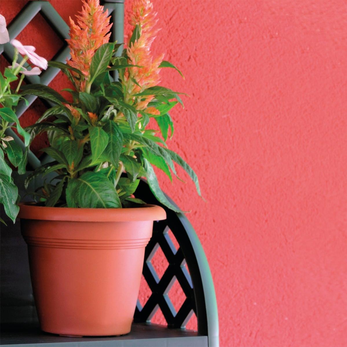 Vasi Piante Plastica Multicolore Vasi Per Piante In Plastica Multicolore 9 Cm - Leggeri, Nuovi, 3,5 Cm Di Altezza? Ideali Per Semina Policarbonato - Foto 5