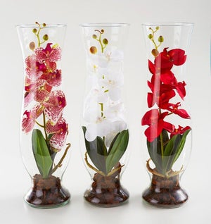 Pianta artificiale senza vaso Orchidea in vaso H 50 x Ø 17 cm