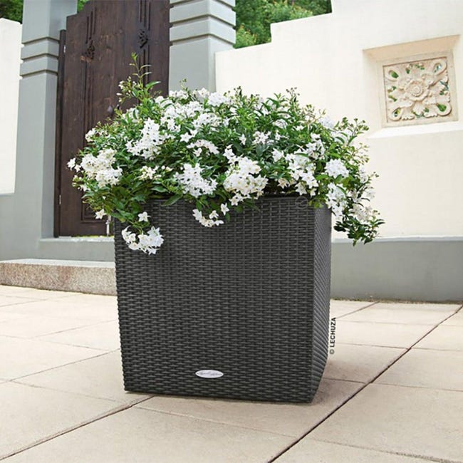 Vaso Per Piante E Fiori Brussels ECOPOT'S In Plastica Colore Grigio Chiaro H 12 Cm 25 Cm 82985430 Vaso Per Piante E Fiori Brussels ECOPOT'S In Plastica Colore Grigio Chiaro H 12 Cm 25 Cm 82985430