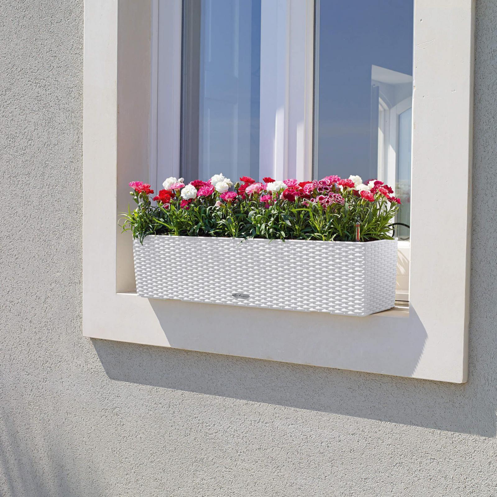 Cassetta portafiori Capri in polipropilene colore bianco H 30 x L 60 x