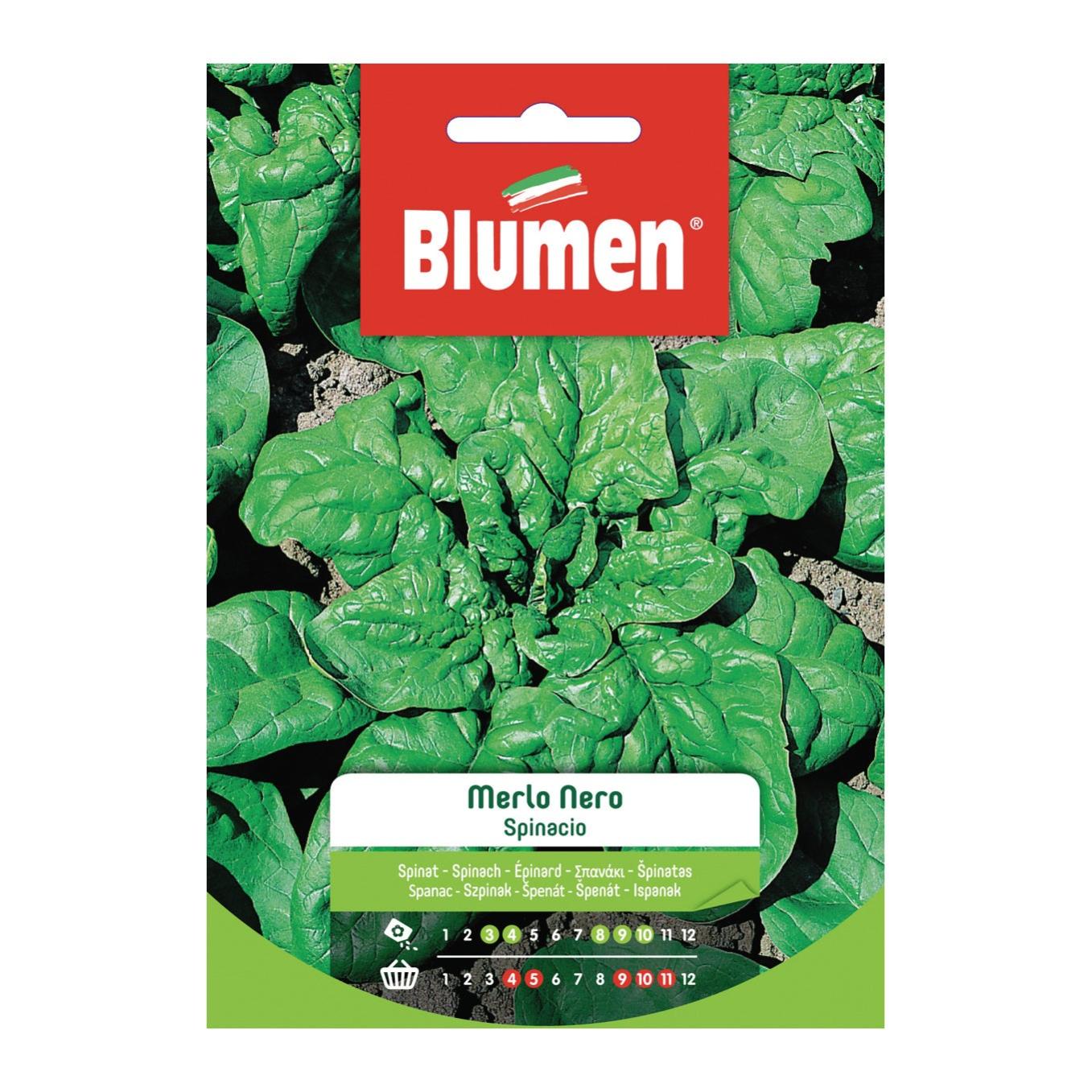 Seme per orto Spinacio Merlo Nero | Leroy Merlin