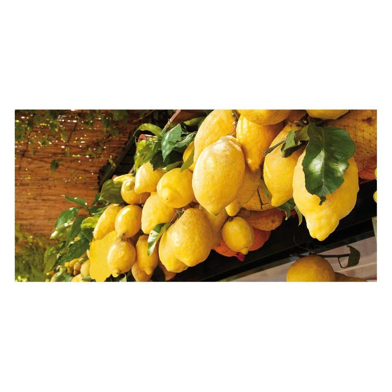 Fotomurale Limoni di Sorrento colore multicolor, 210 x 100 cm