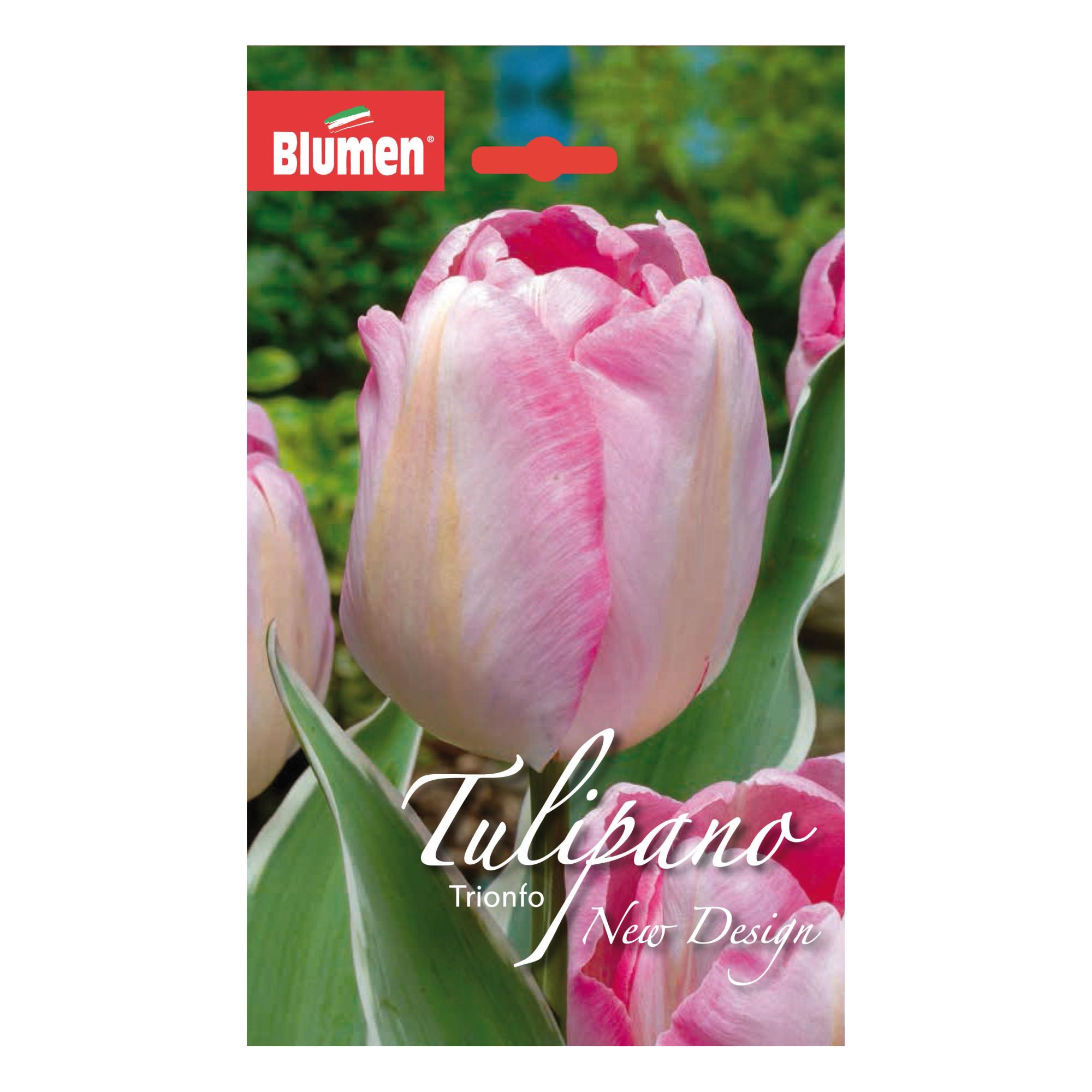 1500+ Stickers Scrapbooking - 50 Fogli Adesivi Per Bullet Journal, Diario, Fai Da Te - Foto 3