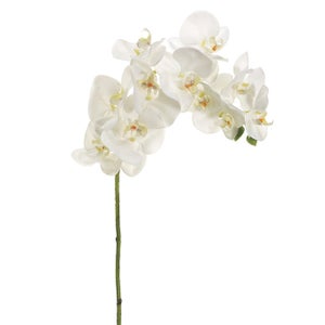 Fiori finti con vaso, orchidea finta, fiori artificiali in vaso, orchidee  finte, orchidee artificiali, fiori finti per la decorazione in vaso, orchidee  finte, Orquideas Artificiales Grandes, bianco : : Casa e cucina