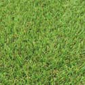 Prato Sintetico Cricket – Rotolo 1x5 Metri, Spessore 30 Mm, Verde Bitono, Stabilizzato UV, Per Giardino O Sport