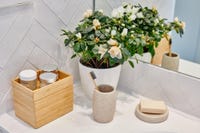 Cotton Fioc In Bamboo E Cotone Naturale - Mood - Foto 2