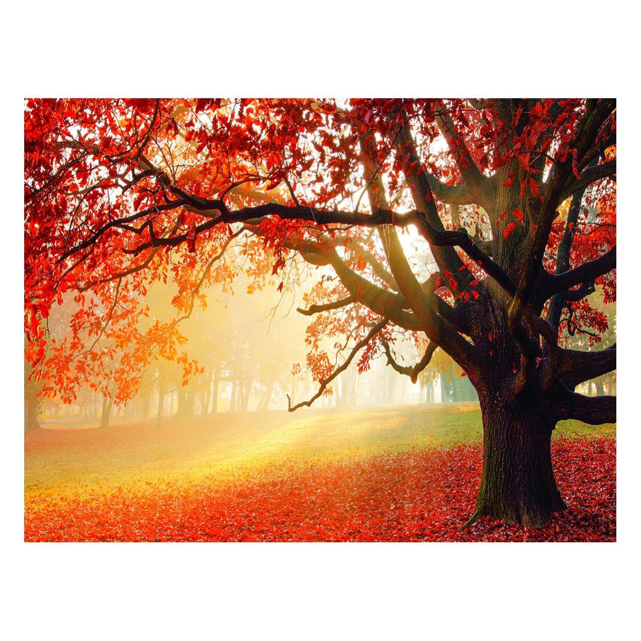 B&D XXL - Quadro 120x60 Cm 1 Pezzo - Stampa Su Tela Strutturata XXL Grande - Quadri Moderni Soggiorno - Foto 12