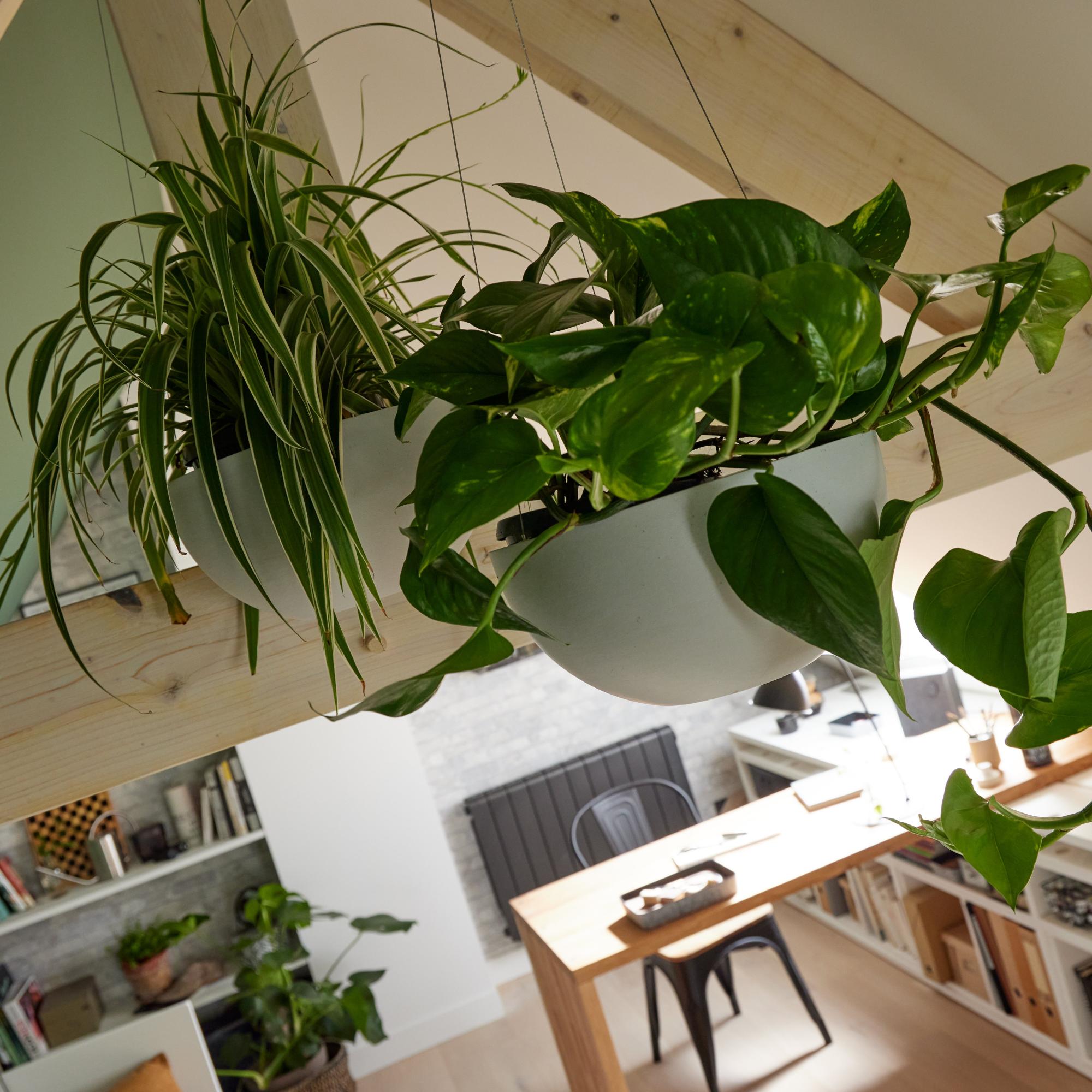 Set 3 Mensole Rettangolari King Home - MDF Bicolore Bianco/Verde - Foto 10