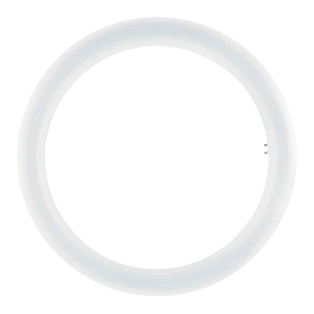 4 Lampadine LED E27 20W 4000K Luce Naturale – 129 LED, 2565 Lumen, Alta Resa Cromatica (CRI>80) – Non Dimmerabili, 230V