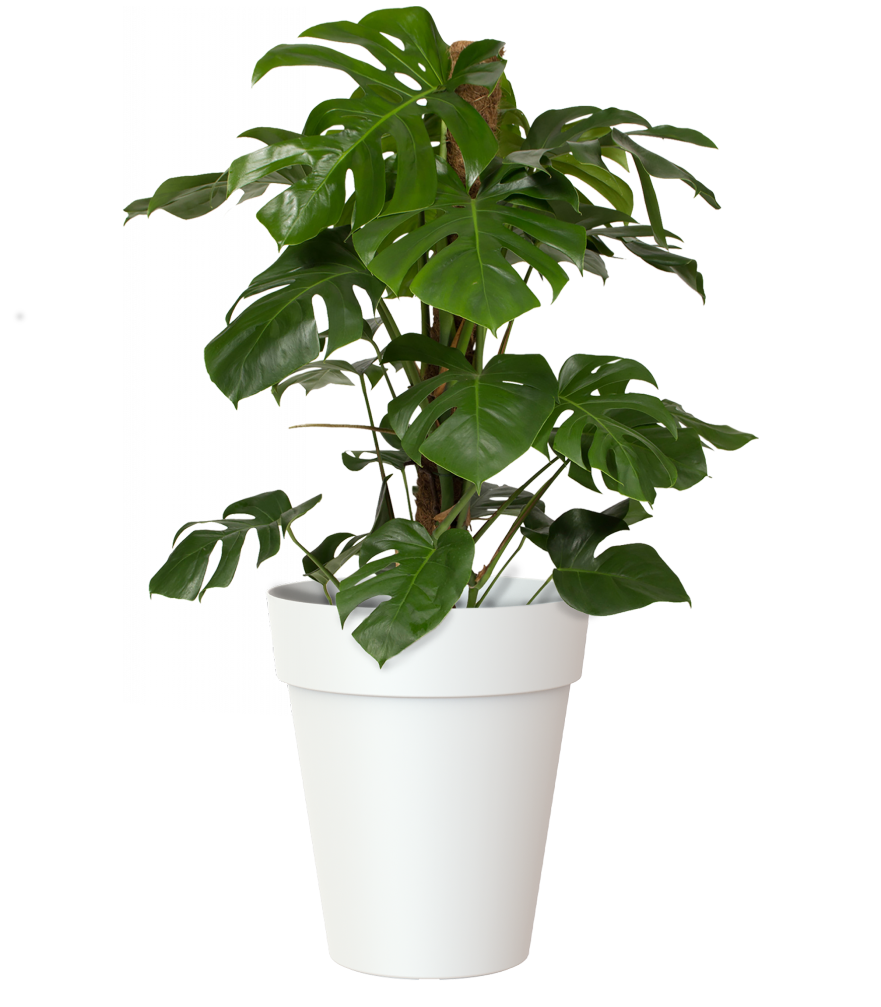 Artevasi Vaso Capri Balcone 20 Cm Bianco - Rotondo E Moderno Per Fiori