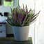 FIORIERA ROTONDO SLIM Rattan Ottica Fioriera Vaso da Fiori Bianco XL FIORIERA ROTONDO SLIM Rattan Ottica Fioriera Vaso da Fiori Bianco XL