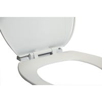 Copriwater Monouso In Carta Velina Lucart - Confezione Da 200 Pezzi 37x43cm, Impermeabili E Antibatterici - Foto 10