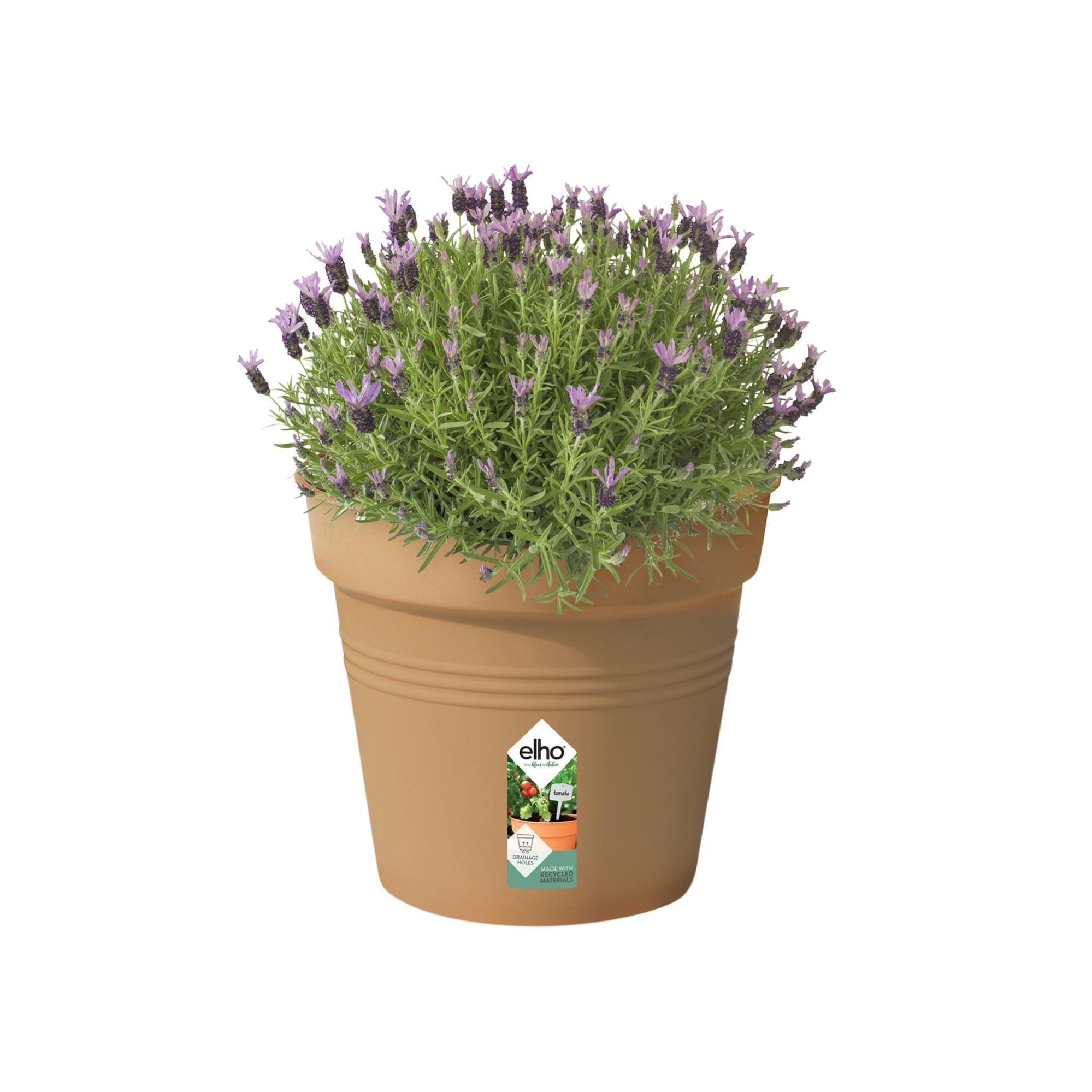 Elho Vaso Rettangolare Per Piante 40 Cm - Grigio Scuro, Plastica Resistente, 8L, Per Interni/Esterni - 5