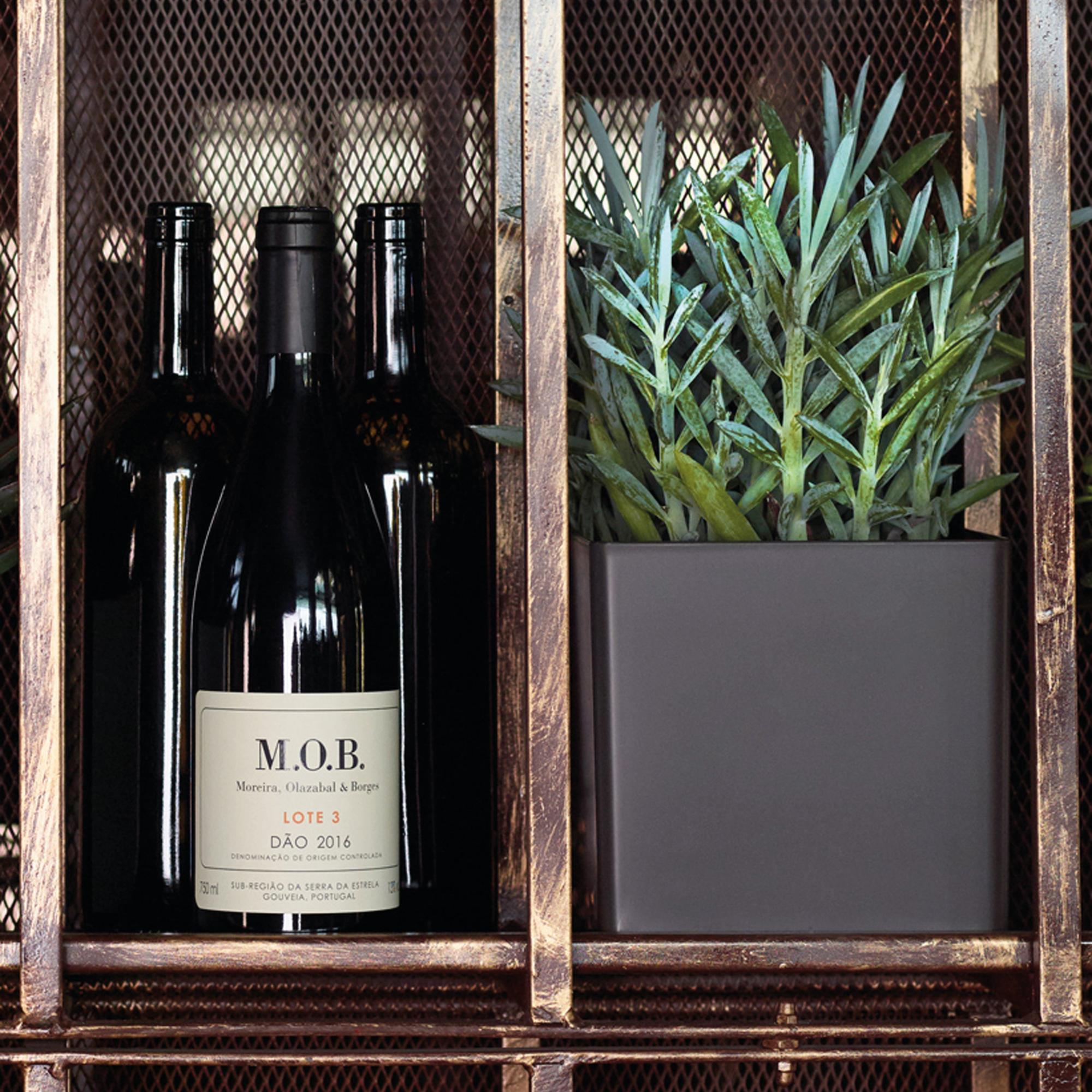 Fioriere Plastica Set 3 Vasi Piante 2friends - 28x28cm 16L Antracite Con Sottovaso Fioriere Esterne Resistenti Gelo - Foto 5