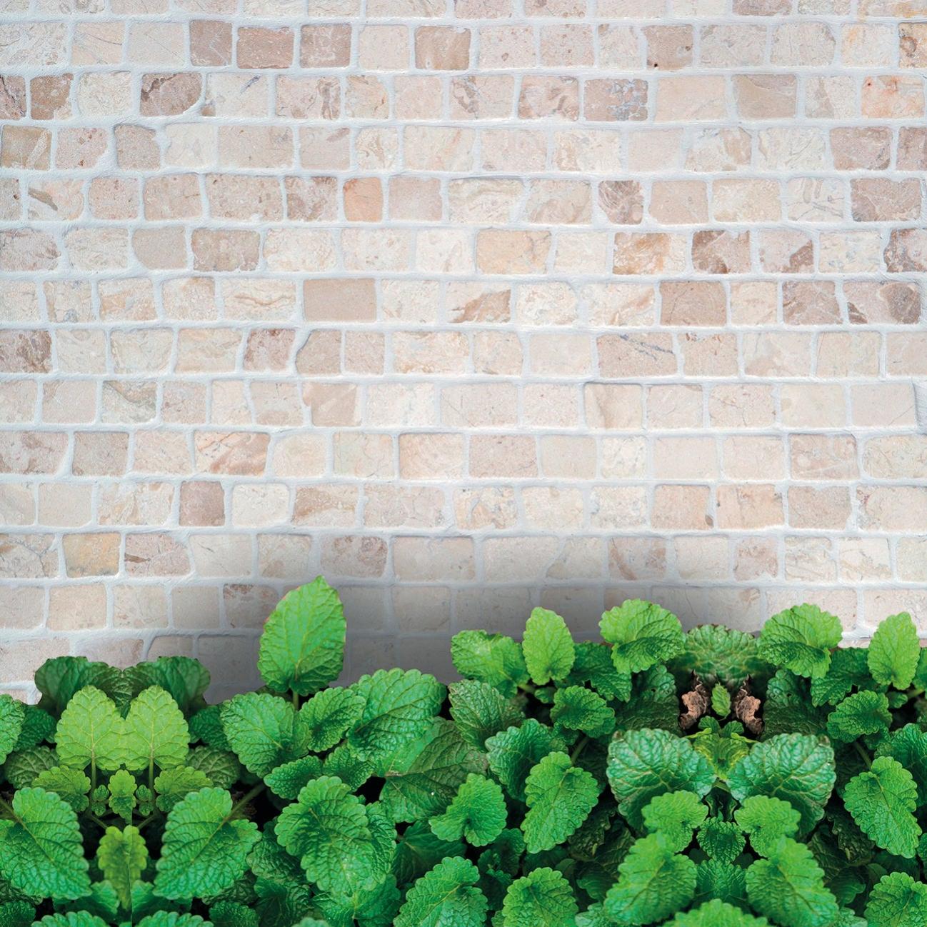Piastrelle Mosaico In Travertino Chiaro 3D - Ideale Per Bagno, Cucina E Rivestimenti Pareti - Foto 3