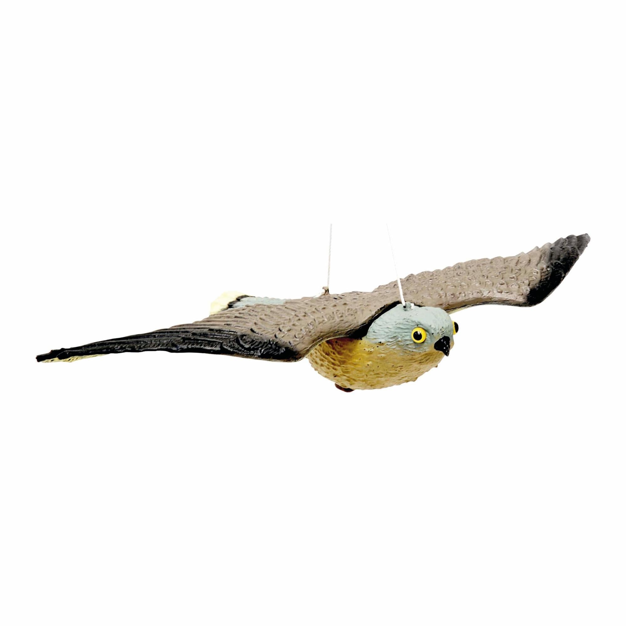 Falco Falco Spaventapasseri Volante Riproduzione Realistica Multicolore 