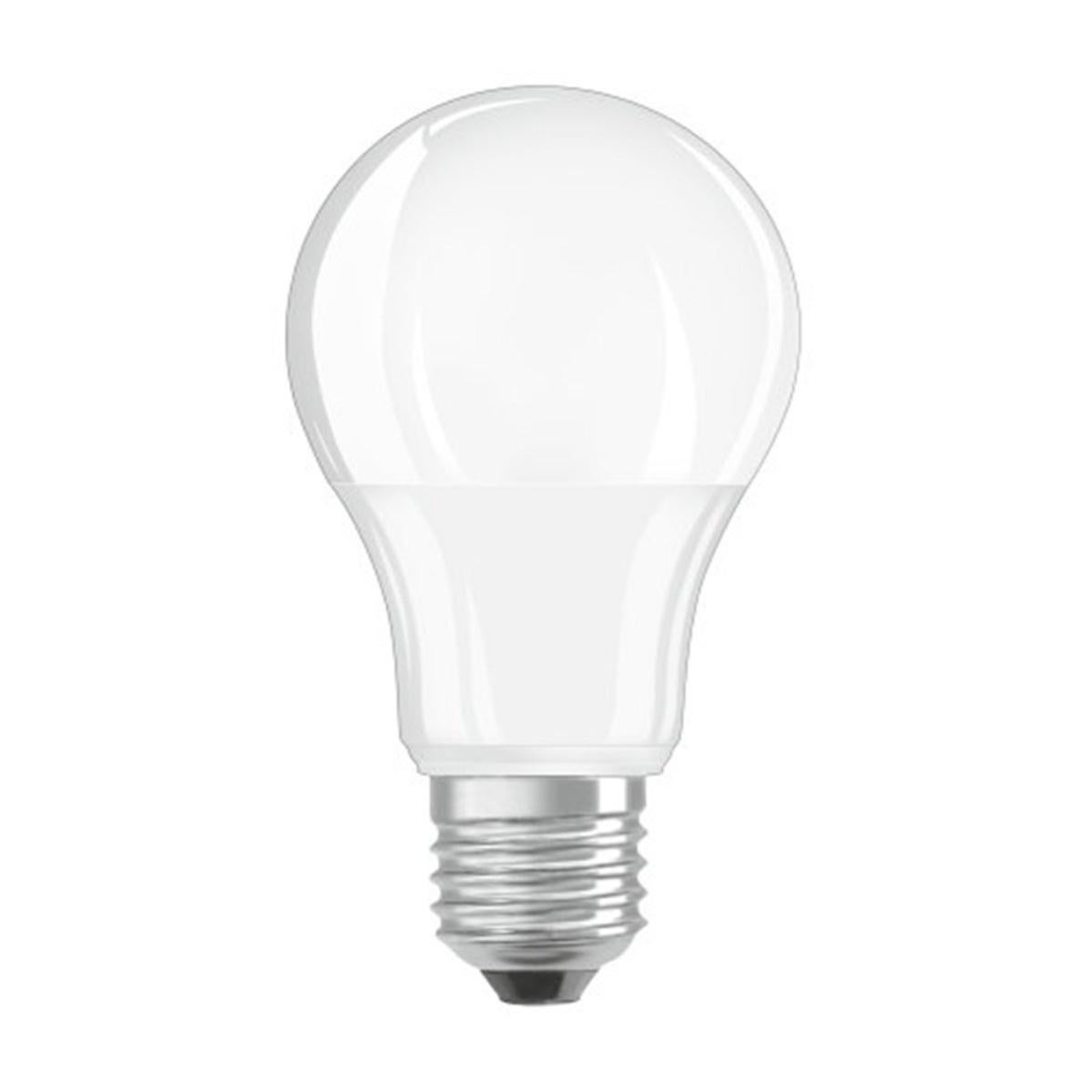 Lampadina led E27 12 watt A60 luce disponibile fredda calda e naturale