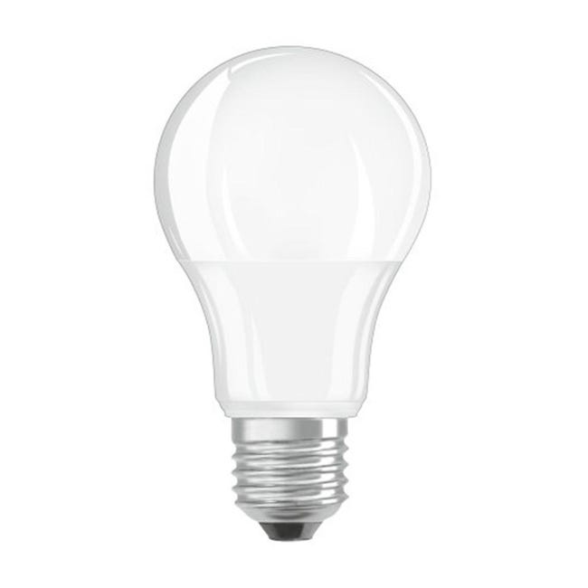 Lampadina led E27 12 watt A60 luce disponibile fredda calda e naturale Lampadina led E27 12 watt A60 luce disponibile fredda calda e naturale