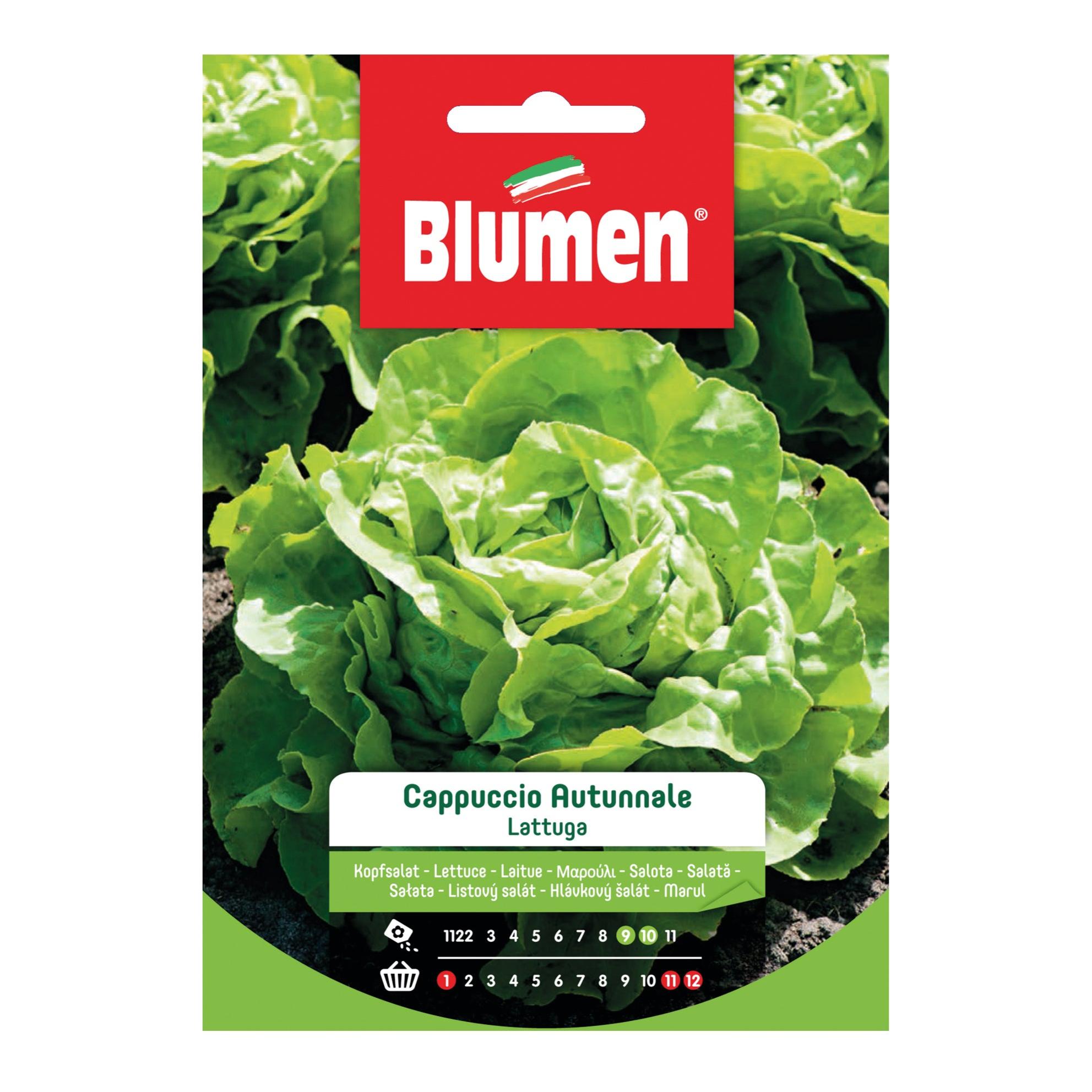Sperli 82798 Semi Di Lattuga Dynamite – Varietà Verde, Semi Di Ortaggi Non Trattati, Per Giardinaggio Sostenibile - 6