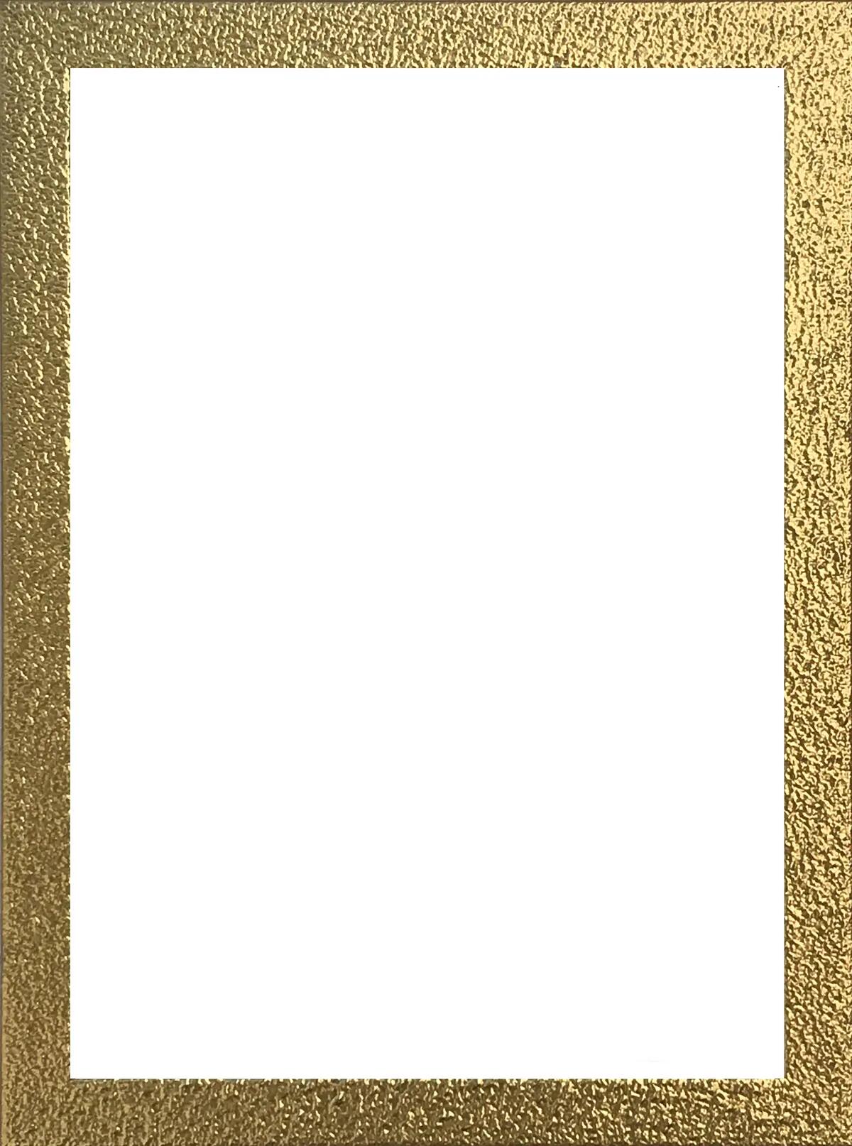Cornice INSPIRE Fabriano bianco e oro opaco per foto da 30x40 cm