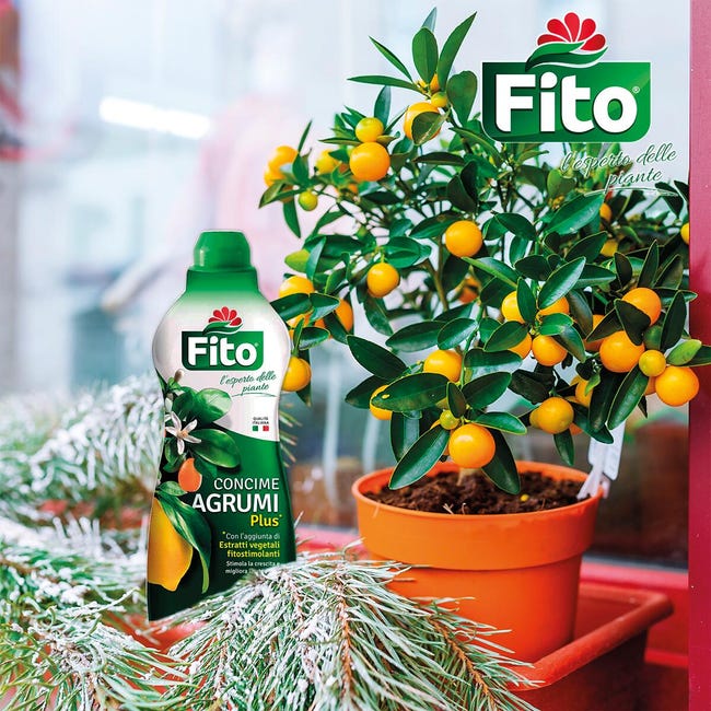 Concime per agrumi liquido FITO Plus Bottiglia da 1 litro