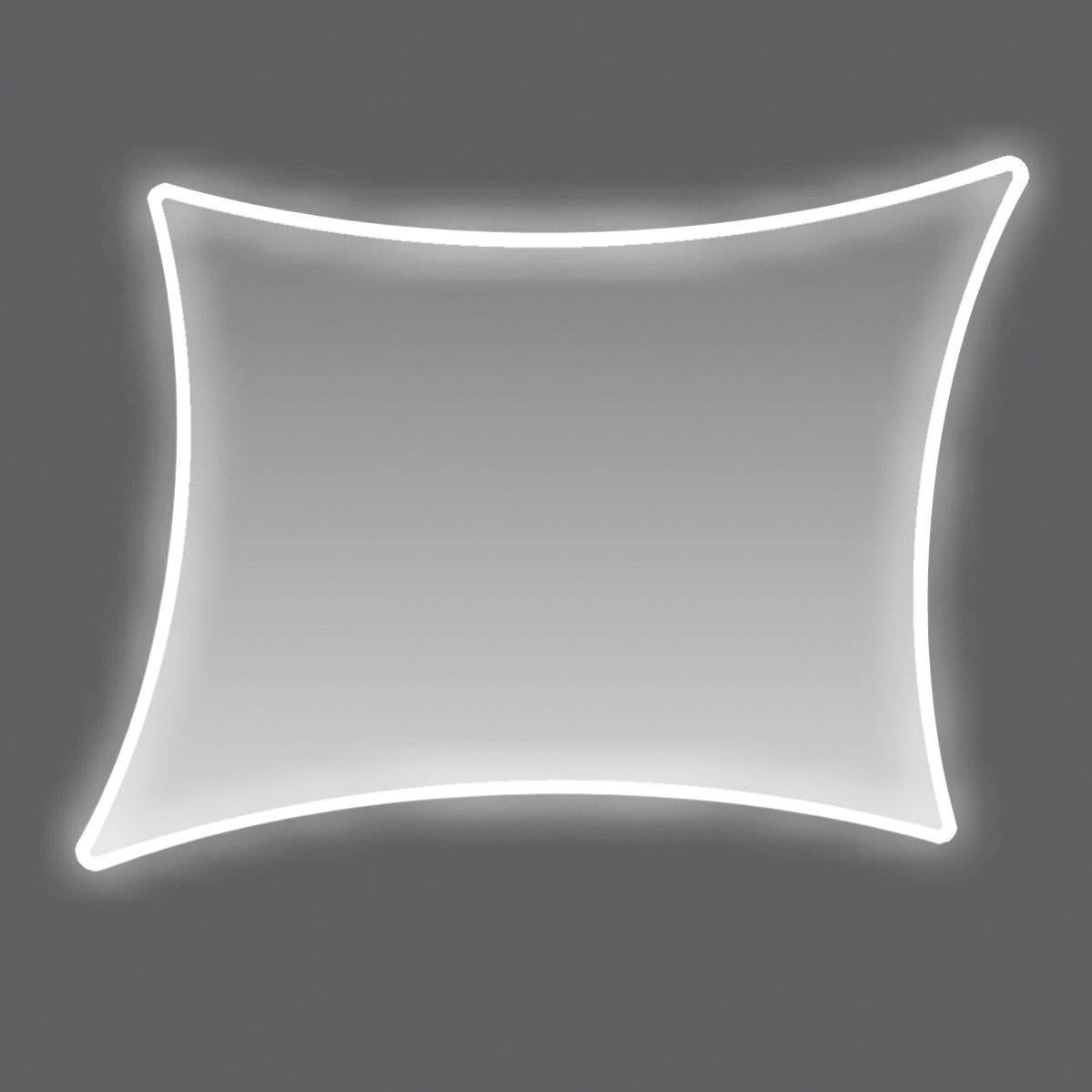 Fiam - Specchio da parete Caadre 76x155 - | Design Concept Store