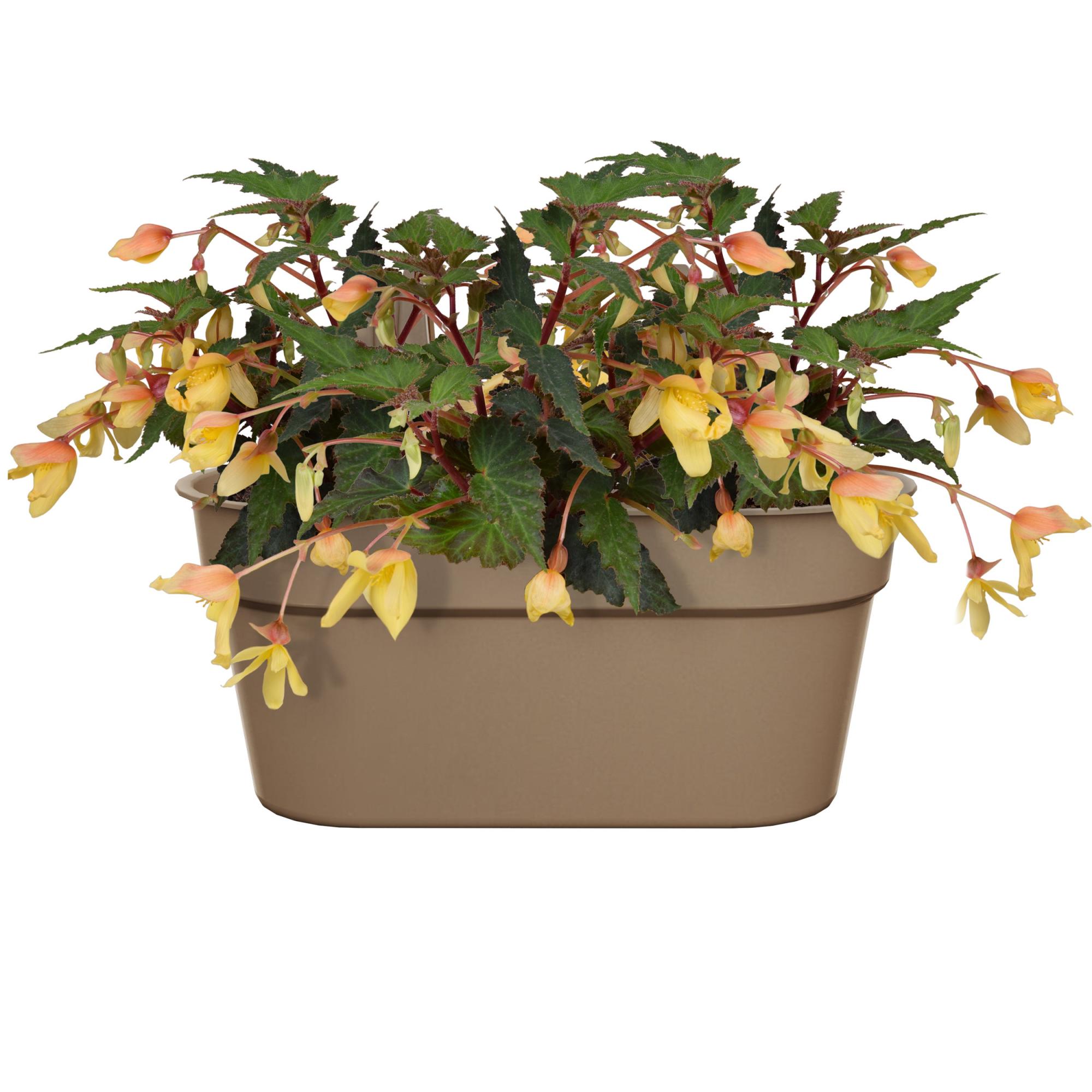 Vaso Autoirrigante Cloe Plastica (29 x 29 x 29 cm