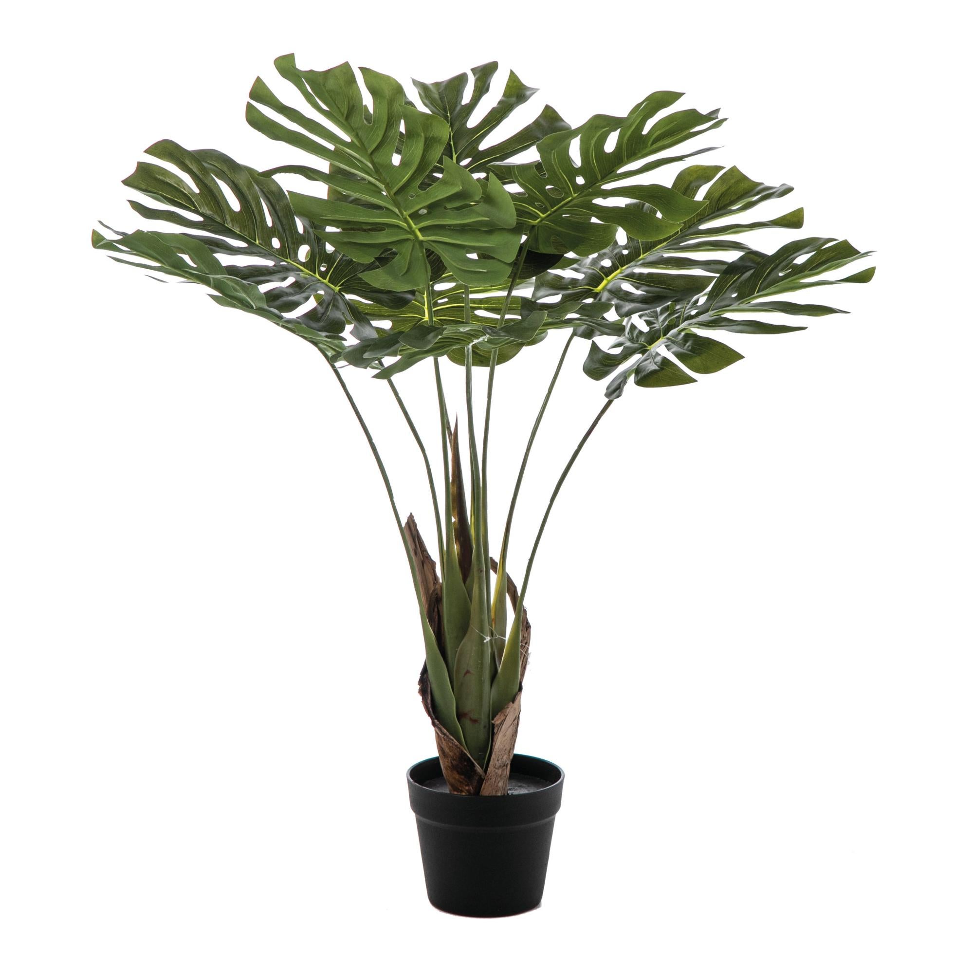 Decorazione popolare del giardino della casa 1 pc cinque rami pianta artificiale senza appassimento fiore di seta artificiale puntelli fotografia simulazione fiore decorazione casa - bianco