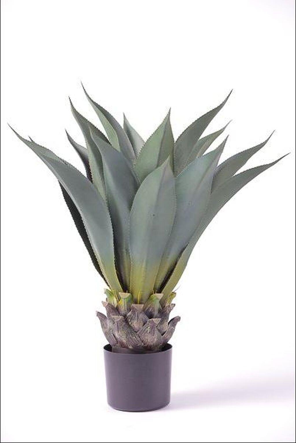 Pianta Artificiale In Vaso Di Plastica Agave H Cm Cm Leroy