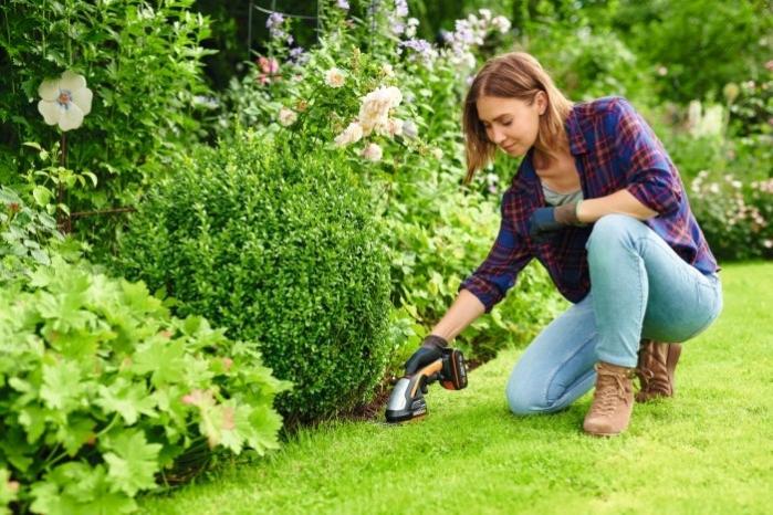 Barbecue Rotator Motori 1,5 V, Alimentato A Batteria Barbecue