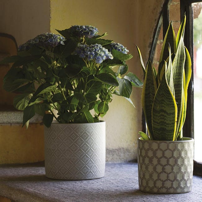 Coprivaso per piante e fiori Deco' Cilindro in ceramica verde H 15 cm Ø 17  cm