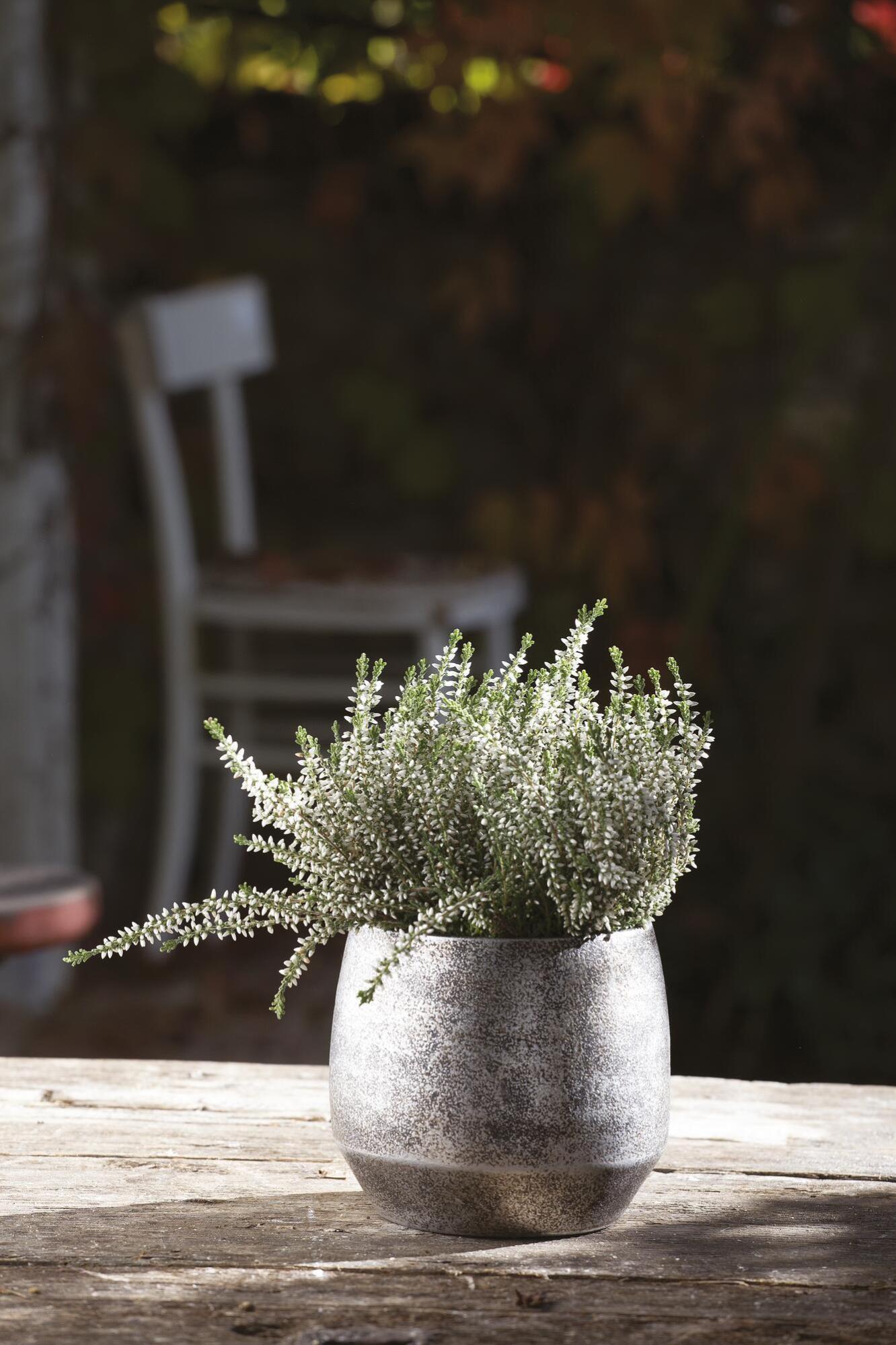 Fioriera Da Appendere In Ceramica Con Faccia Grigia 'Pouting' - Vaso Divertente Con Corde