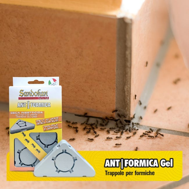 Soluzione per eliminare le formiche, per giardino e casa, esca in granuli e  trappole, Kit Nexa antiformiche