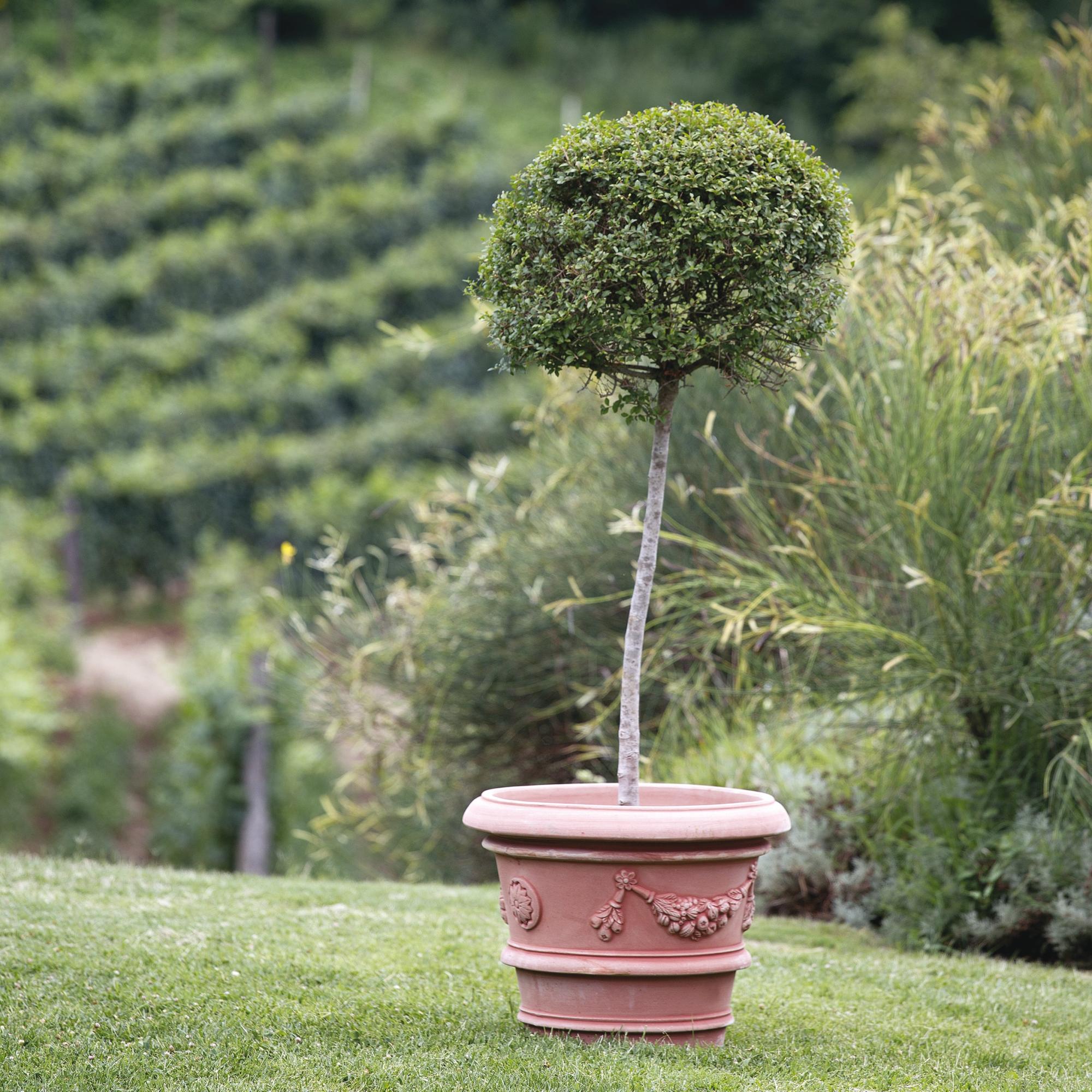 Vaso per piante e fiori Alto Graffiato in terracotta terracotta H 40 cm Vaso per piante e fiori Alto Graffiato in terracotta terracotta H 40 cm