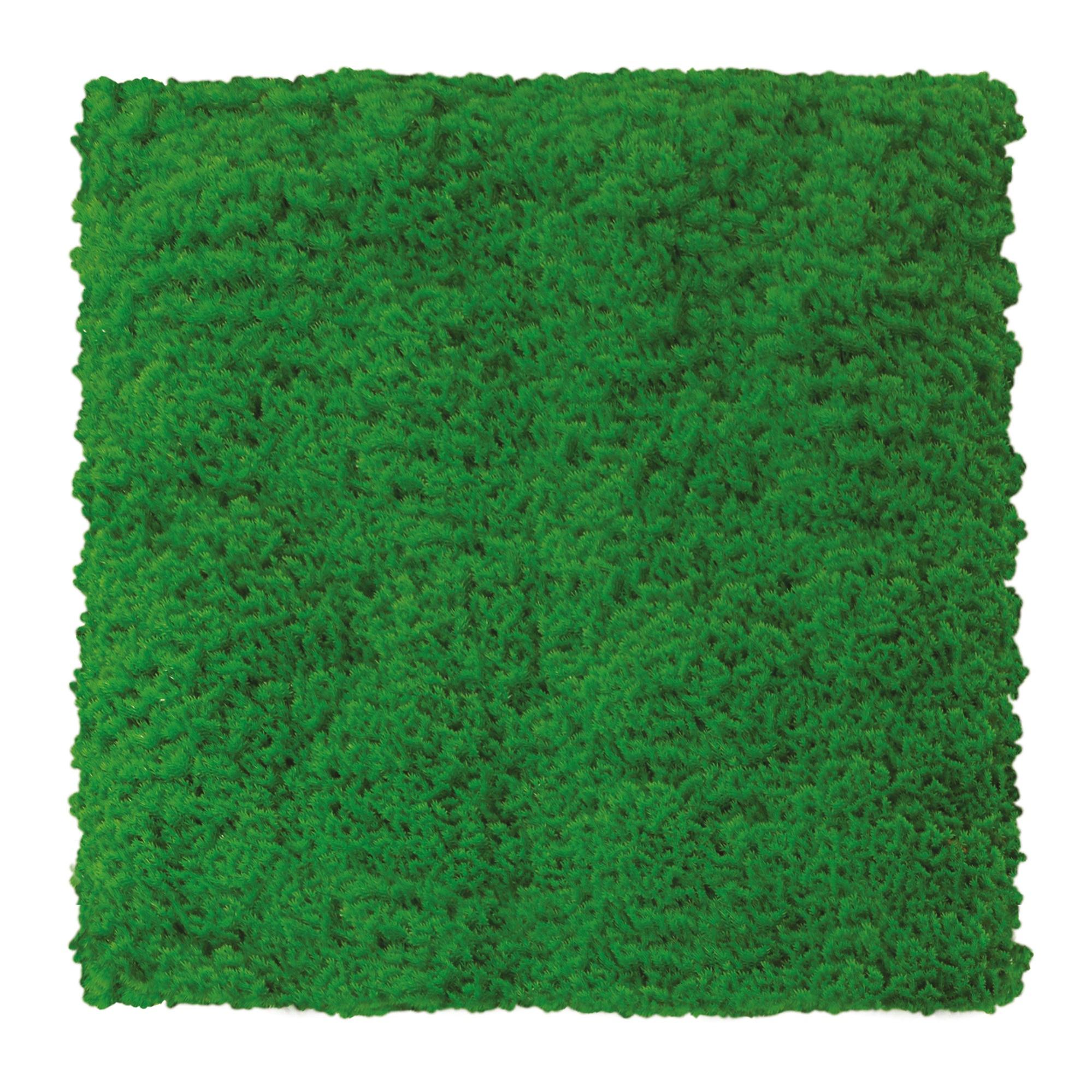 Siepe artificiale Muschio Divy 3D in polietilene, verde H 1 m x L 1 m