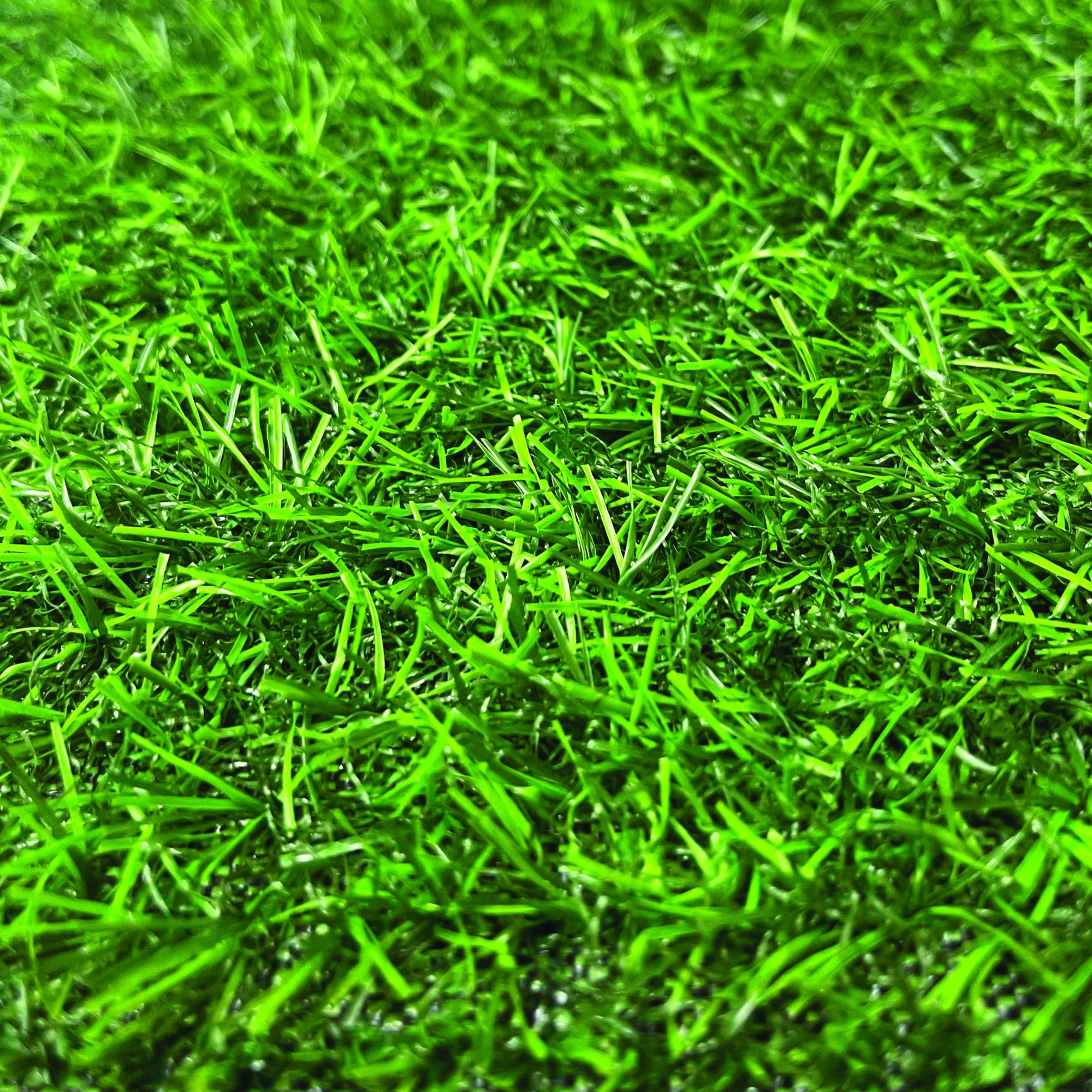 Erba Sintetica Per Mini Giardino GZGXKJ 8 Pezzi Erba Artificiale 15 X 15 Cm Tappeto Di Erba Artificiale Mini Miniatura Per Giardini In Miniatura Fai Da Te Micro Paesaggio Decorazioni Per Case