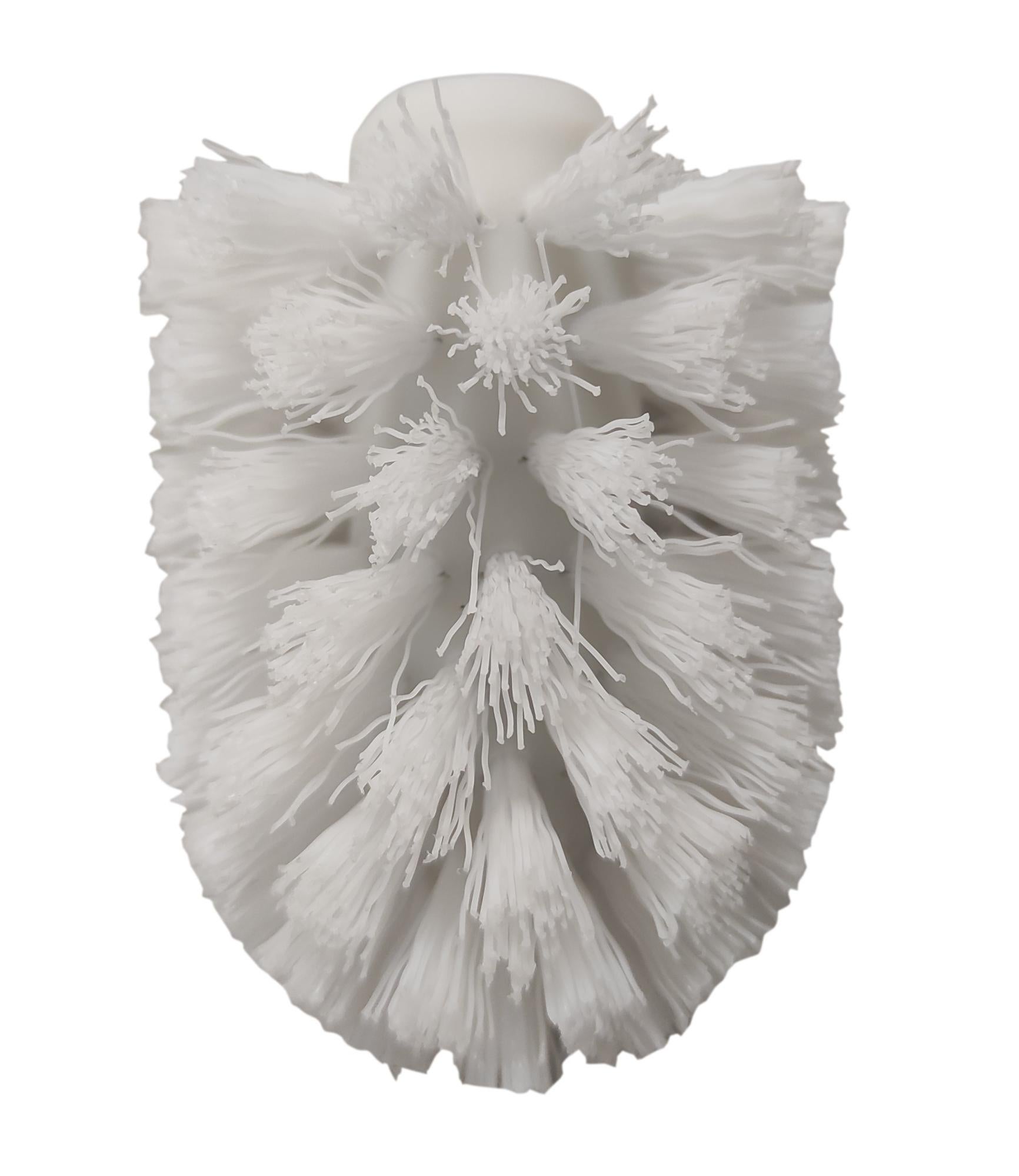 Cellule Abitative Per Veicoli Ricreazionali - Camper Italia Srl