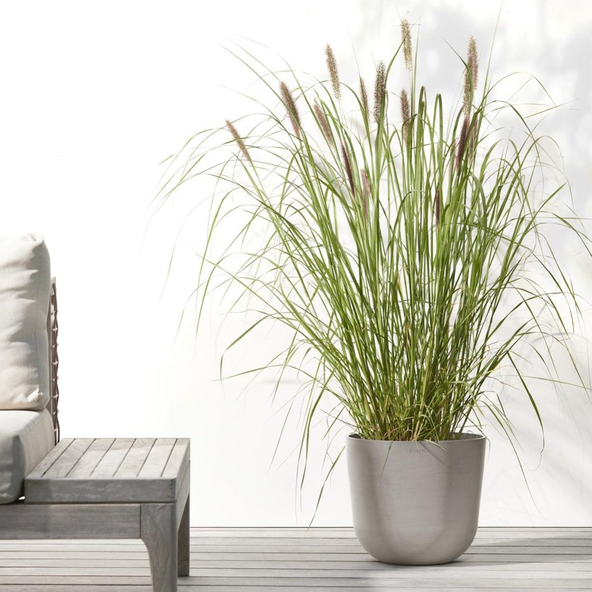 ARTEVASI - Vaso Per Fiori Venezia Cilindro - 50 Cm - Tortora - ePRICE