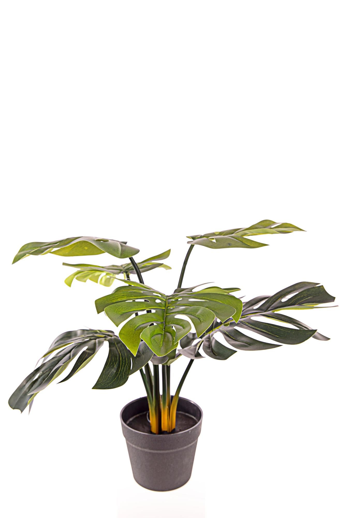 Pianta artificiale DIEFFENBACHIA 122 cm Verde