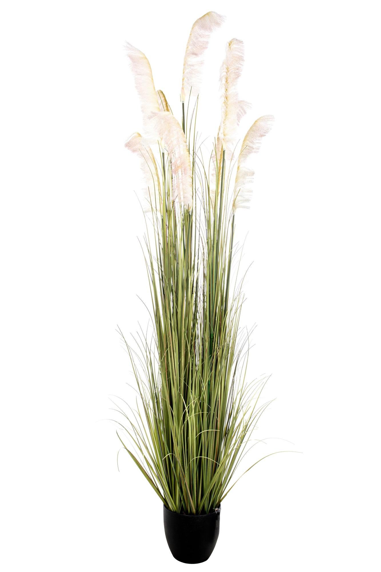 Pianta Artificiale 5 Rami Con Fiori In Seta | 36cm Bianca | Decorazione Per Casa, Giardino E Foto - 2