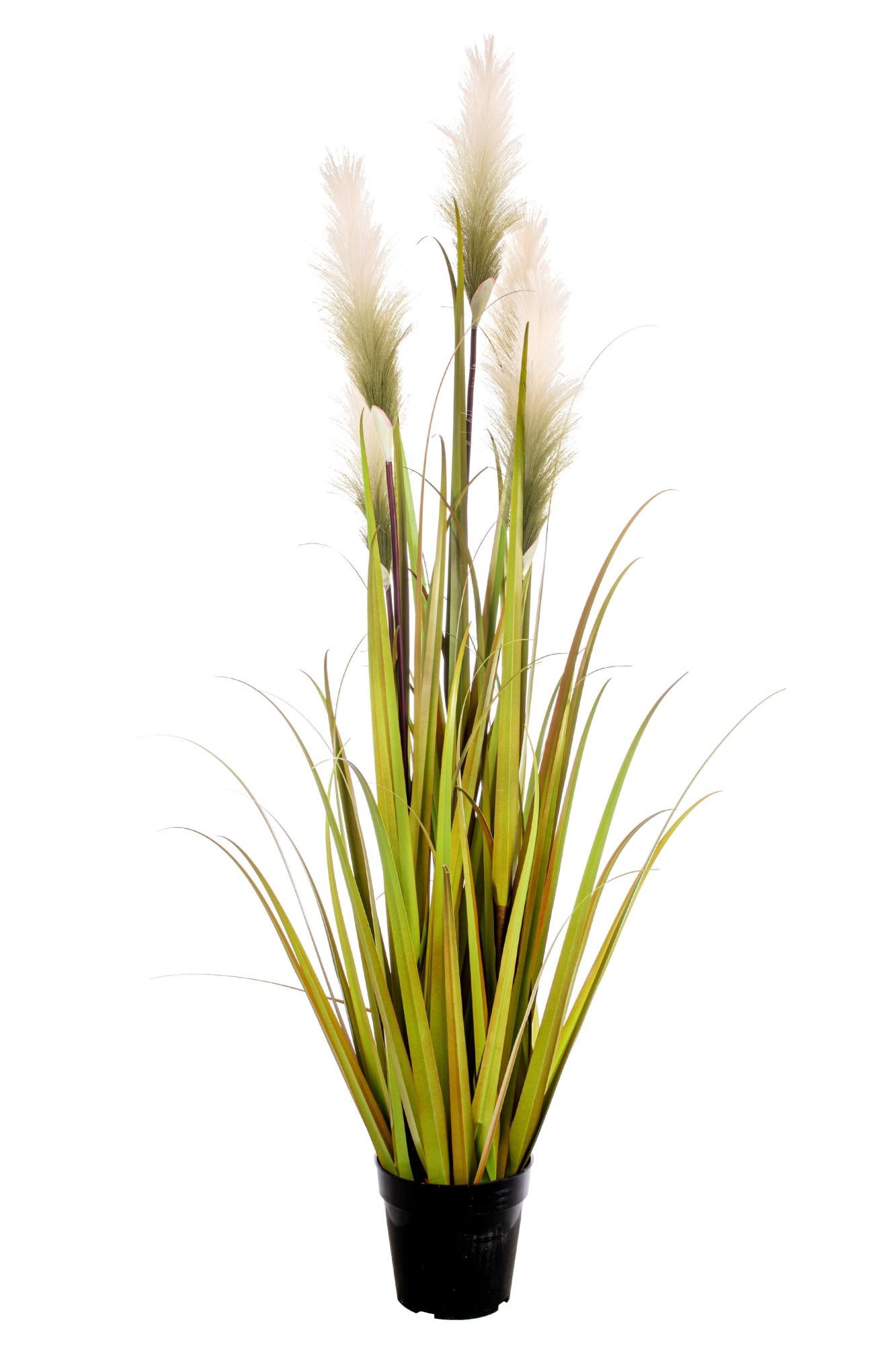 Easyplants Pianta Artificiale Coda Di Volpe - Altezza 120 Cm, Realistica, Senza Manutenzione