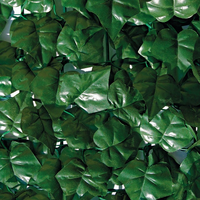 Outsunny Siepe Artificiale 200x100 cm in Seta e Plastica PE, Siepe Finta di  Pothos con 495 Foglie, Verde