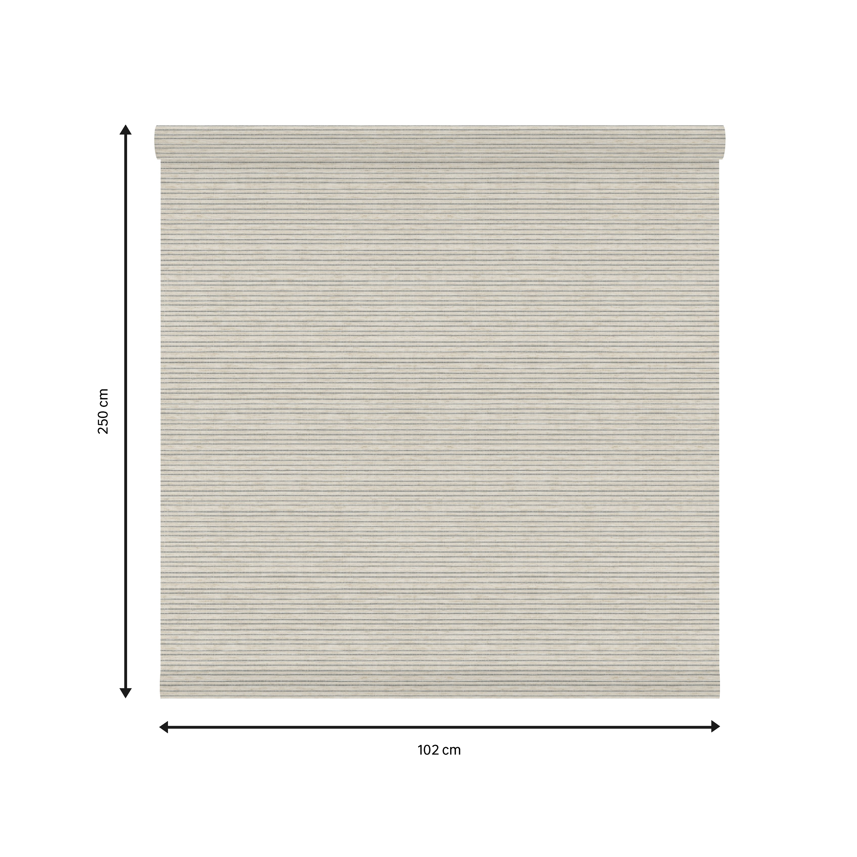 Tessuto per tende a rullo filtrante INSPIRE Darwin beige 102 x 250 cm