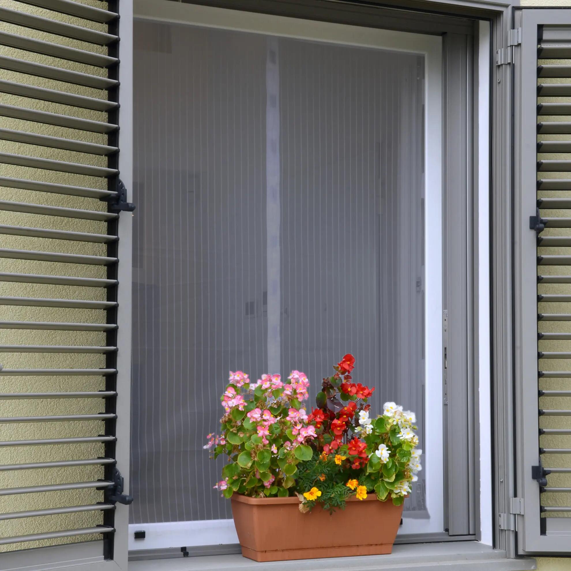 Tenda zanzariera regolabile magnetica M per finestra L 150 x H 180 cm  grigio