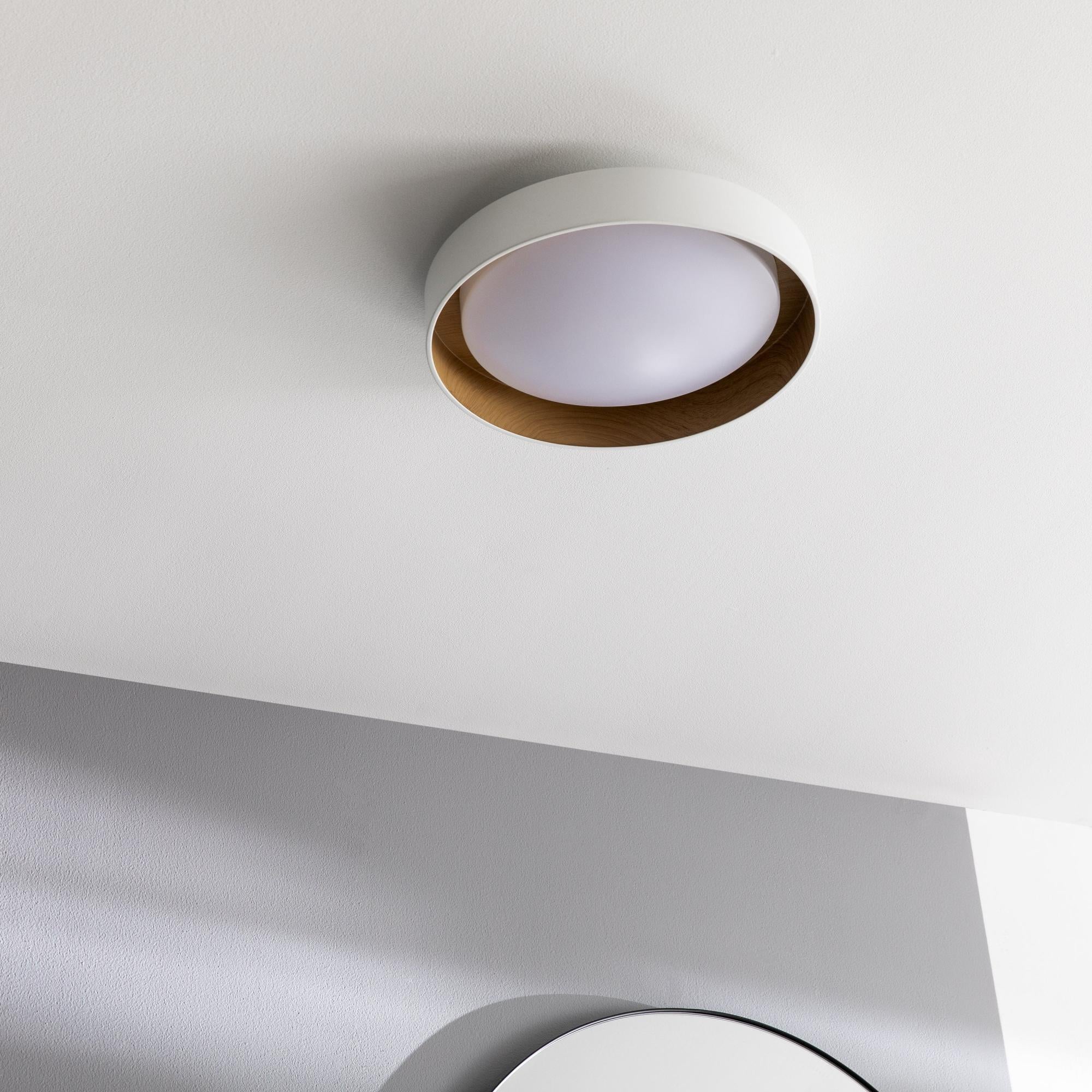 TrAdE Shop Traesio - Plafoniera Led Da Soffitto 12w Luce 3000k-6500k