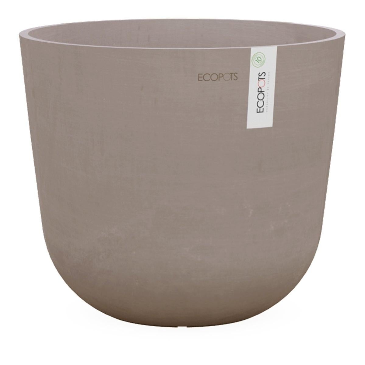Incredibile vaso per fiori. Fatto da bottiglie di plastica per il tuo